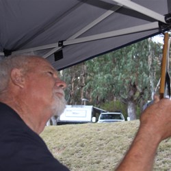 Rooster trying to work out the "What is this".