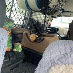 Day 10. Jacks in the Troopy - ready to head home. 