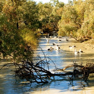 Mulwarra WH