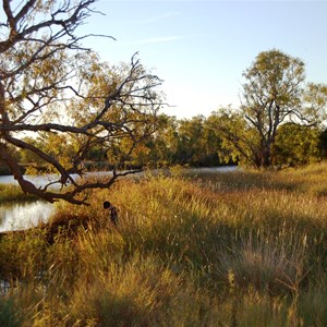 Gumhole Campground - Diamantina NP