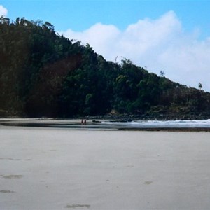 Cape Tribulation