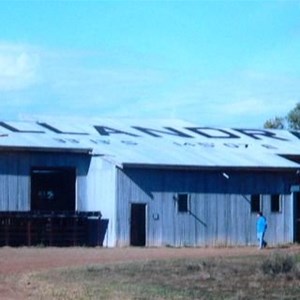 Willandra Woolshed