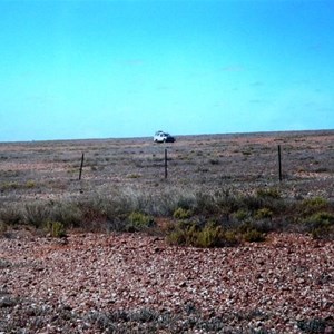 remains of old fence