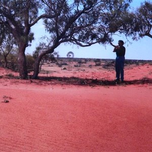 Along the Bore Track