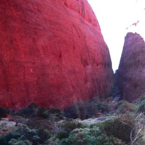 Olga Gorge