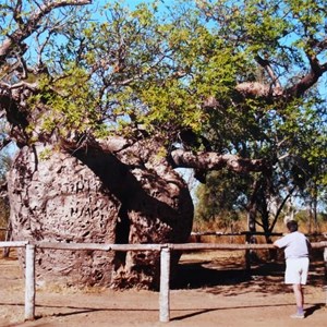 Prison tree near Derby