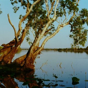 A beautiful place, but beware the crocs and buffaloes!