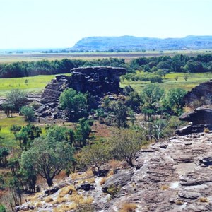 View from Ubir, looking over the wetlands