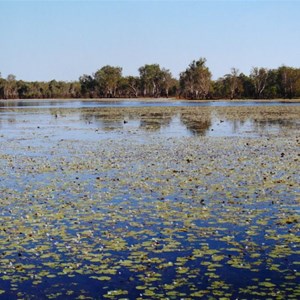 Sandy Billabong