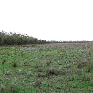 Hattah Kulkyne Lakes