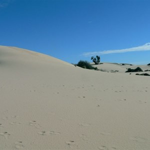 Out on the shifting dunes