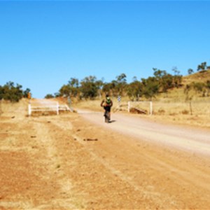 Riverseligh Fossil Site - Baz - The Landy