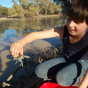 Diamantina River - TomO 