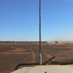 Black gibbers onthe way to Lake Caroline