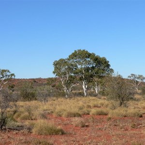 The hill at Batton Hill