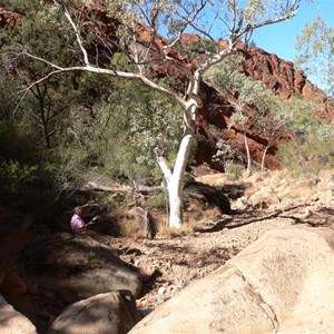 In N'Dhala Gorge