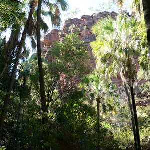 Its lush green and tropical down in the gorges