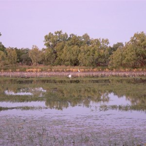 Lake Francis in late afternoon light