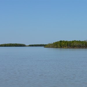 Mangrove covered islands in the river