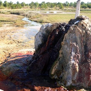 The calcite encrusted old bore and wetlands.