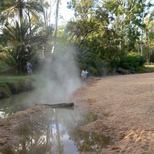 Mist rises from the hot water that feeds the stream at Innot Hot Springs.