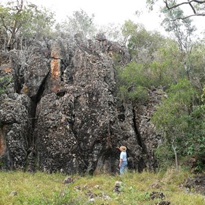 Limestone Reef