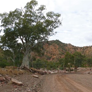 Brachina Gorge