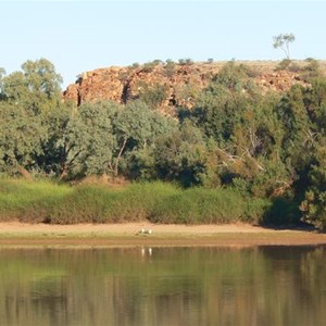 A few birds at the waterhole