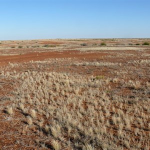 Diamantina NP landscape