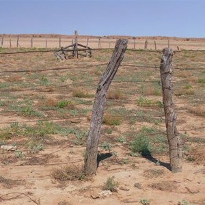 Bronco yards