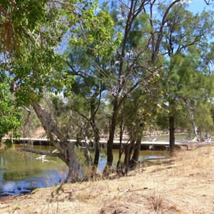 Near Burlington, on a tributary of The Lynd River