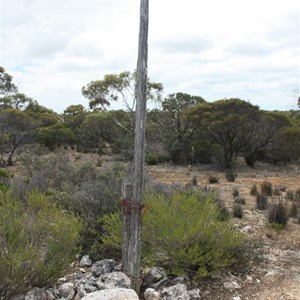 Telegraph Pole