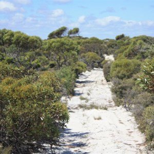 Telegraph Track near Twilight Cove