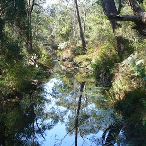 Pretty creek at Zumsteins