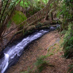 Melba Gully cascade