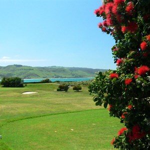 A change of scenery near Apollo Bay