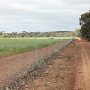 On the Audio Drive skirting forest & farm