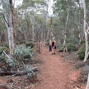 The Ochre Walk