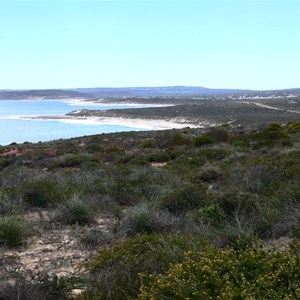 View towards Kalbarri from Red Bluff lookout