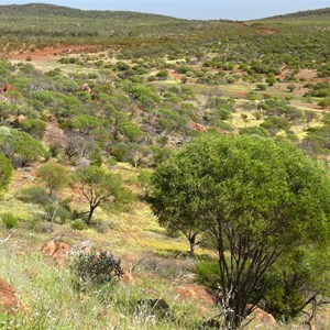 Kalanooka Springs