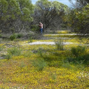 Colourful bush to explore at Canna