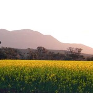 Stirling Range sunset