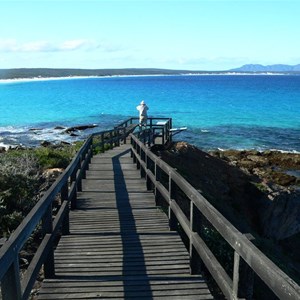 Whale watching platform