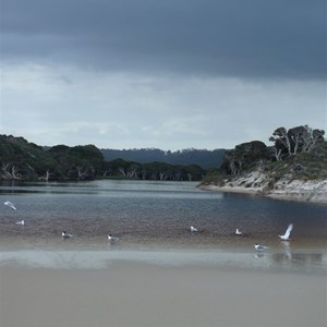 A monochrome landscape under a leaden sky