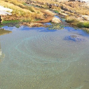 Warm water and gas bubbles make patterns in the mound springs