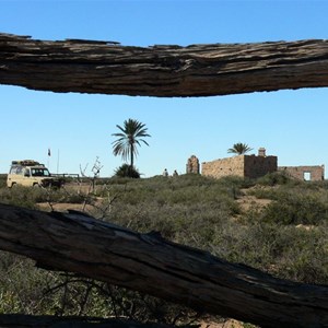 Dalhousie ruins with date palms