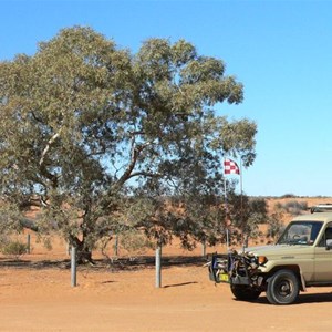 The lone gum, a coolibah, now with a few offspring