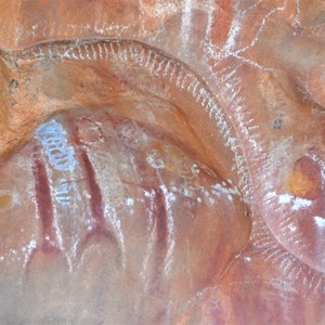 Arkaroo Rock Art Site