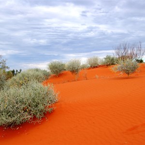 Welford National Park