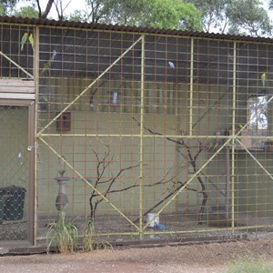 Charming aviary at Caravan Park